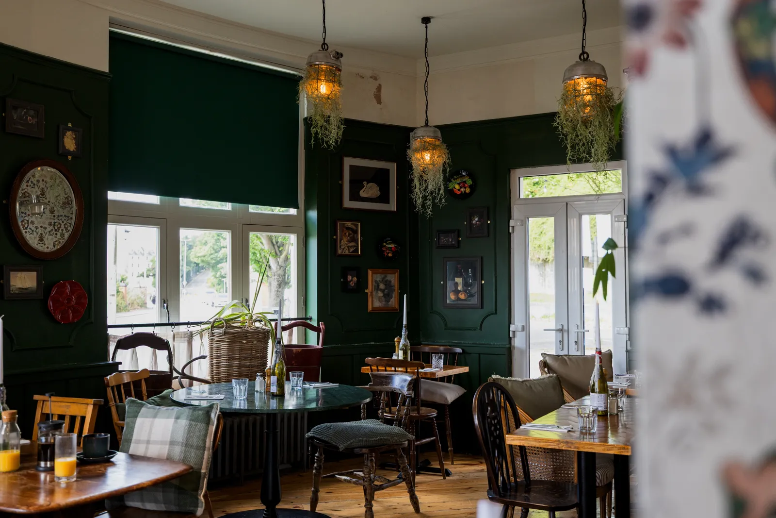 The dining room with deep green walls, plants, chandeliers and tall windows