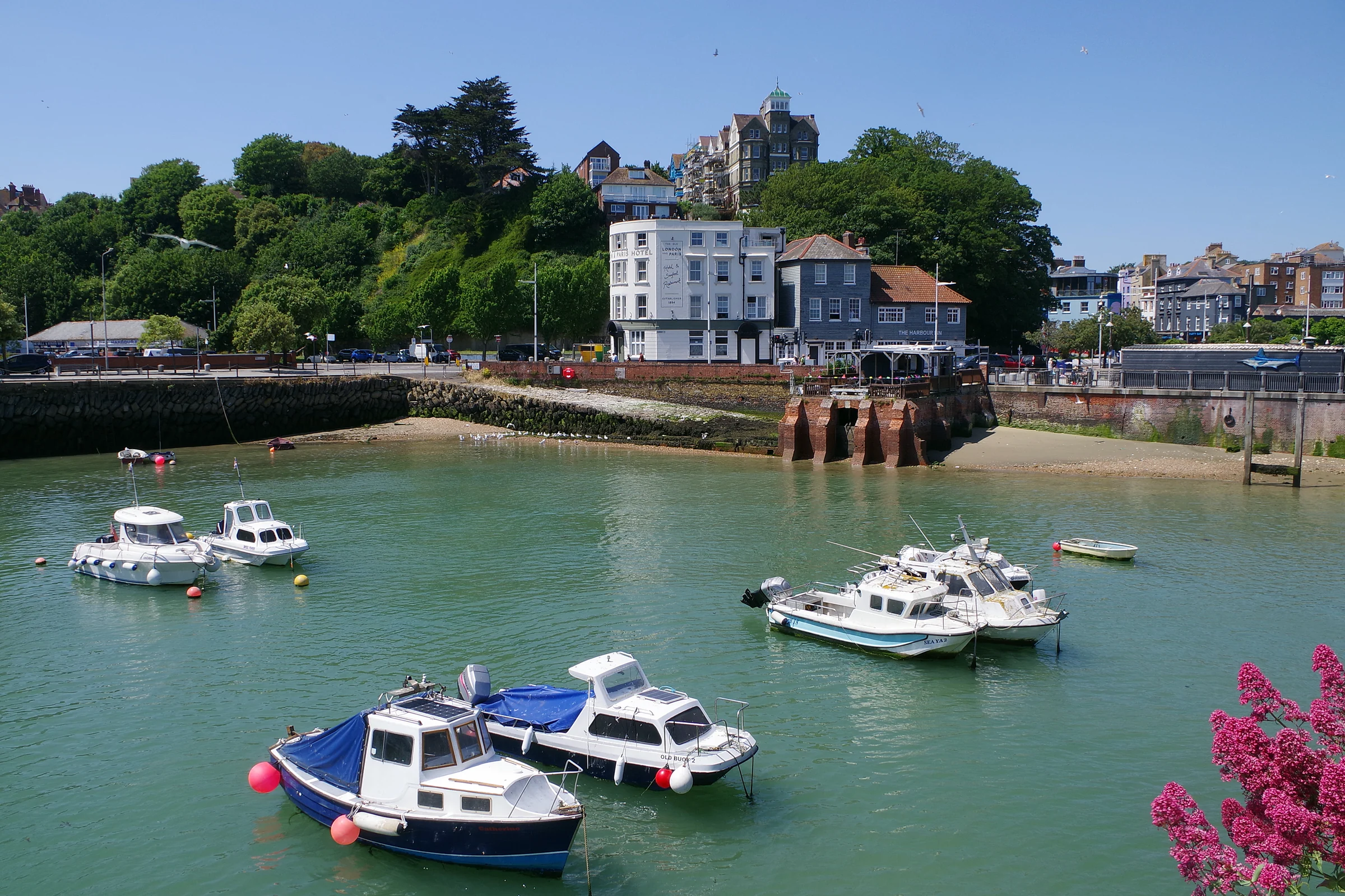 Boats moored in Folkestone harbour on a sunny day, with the town and trees behind